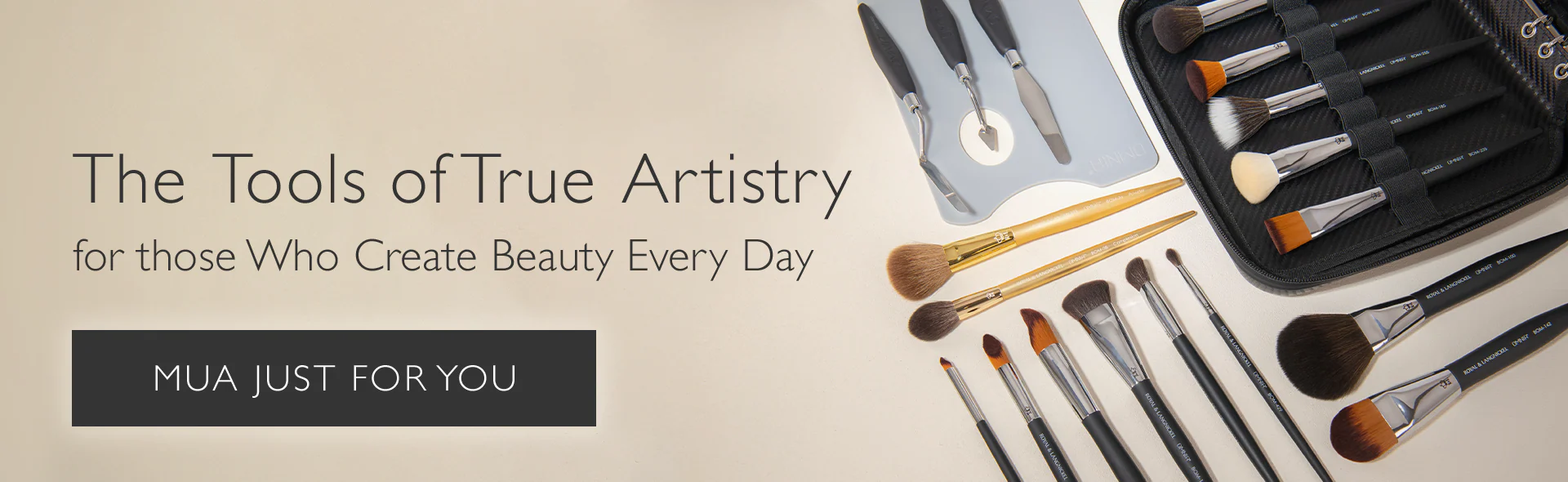 Master Your Art with OMNIA